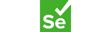 Selenuim Logo